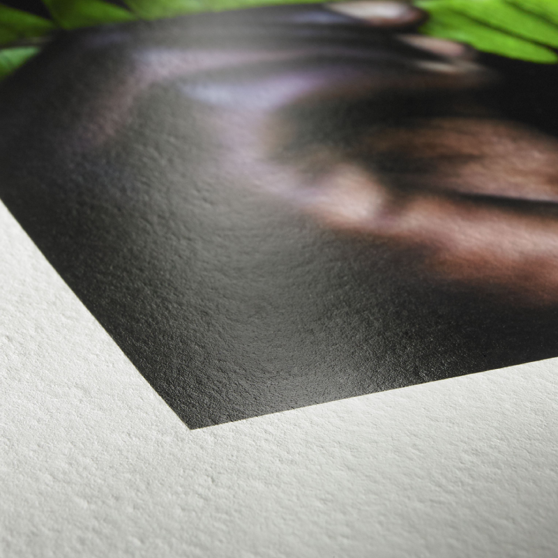 Carta Fine Art Photo Rag Pearl 320g