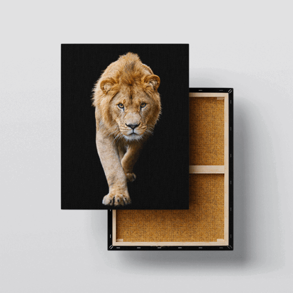 Stampa su tela - Leone - immagine 3